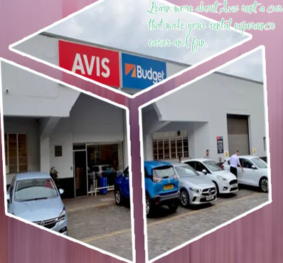 Avis car rental company