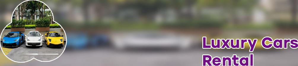 Cheap exotic car rental